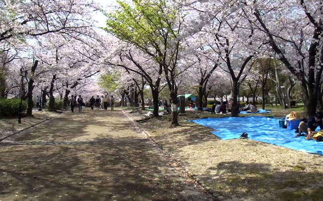Μια όαση δροσιάς και ένα παραδεισένιο καταφύγιο αποτελεί ο κήπος Nishinomaru,στην Ιαπωνία!(photos)