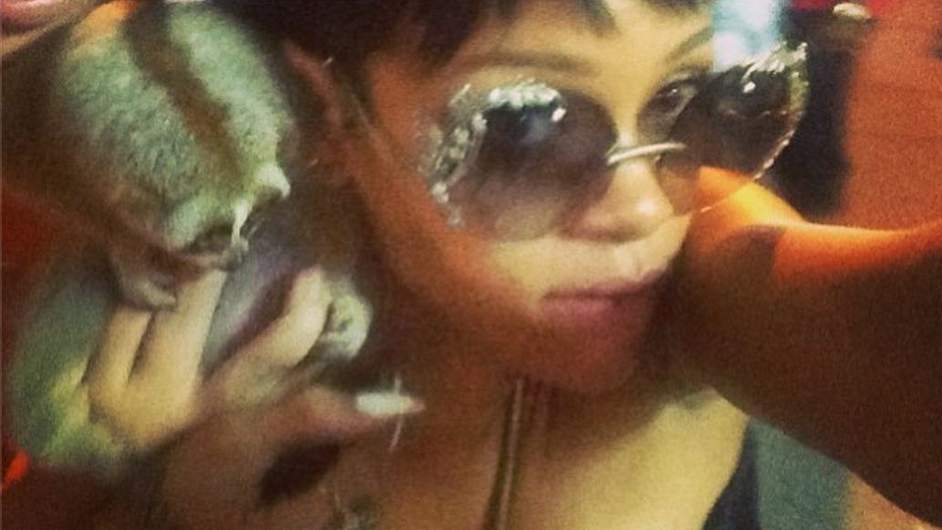Συλλήψεις με τη βοήθεια της&#8230; Rihanna