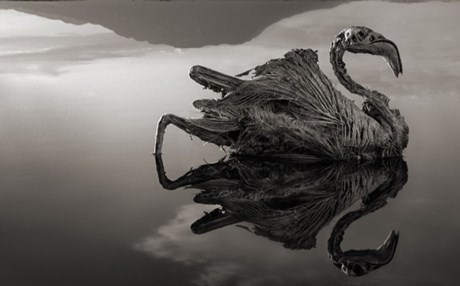 Η λίμνη Natron και τα… φαντάσματά της
