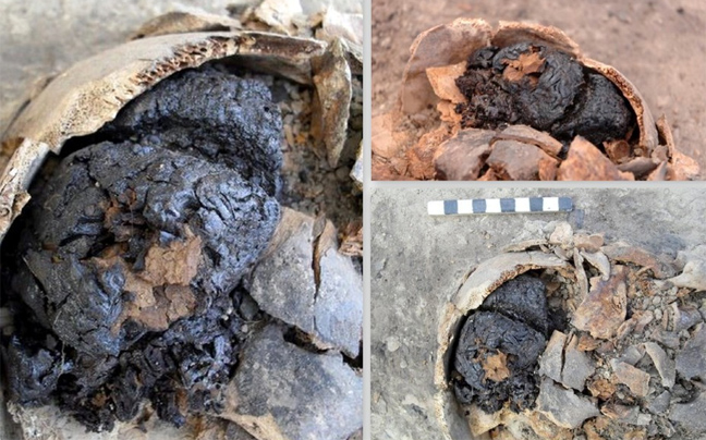 Βρέθηκε ανθρώπινος εγκέφαλος ηλικίας 4.000 ετών!