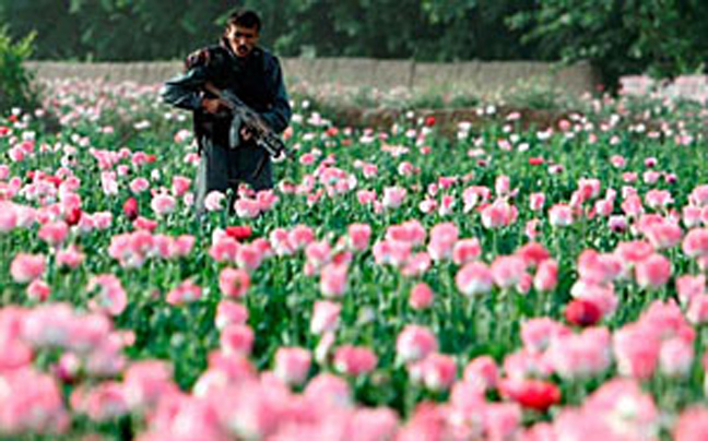 Ναρκο-κράτος κινδυνεύει να γίνει το  Αφγανιστάν