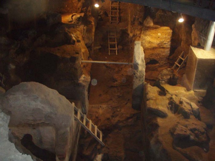 Αρχαιοβοτανικά κατάλοιπα στο σπήλαιο της Θεόπετρας