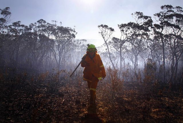 Νεκρά εκατοντάδες κοάλα από τις φωτιές στην Αυστραλία