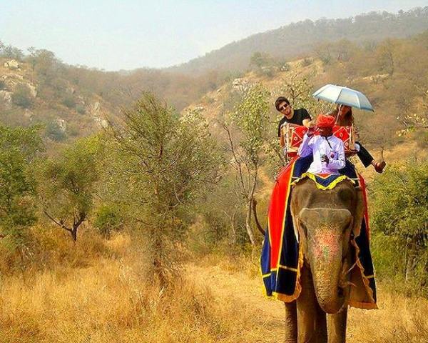 Ταξίδι στην Ινδία με μπόλικη «τρέλα»