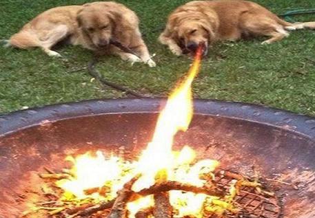 Όλα θέλουν τη στιγμή τους