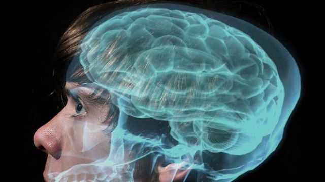 Πώς ο εγκέφαλος επηρεάζει την προσωπικότητά μας