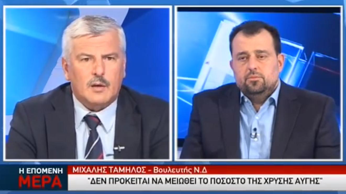 «Η Χρυσή Αυγή καθάριζε τους αλλοδαπούς από τις γειτονιές χωρίς να χρεώνεται κόστος η κυβέρνηση»