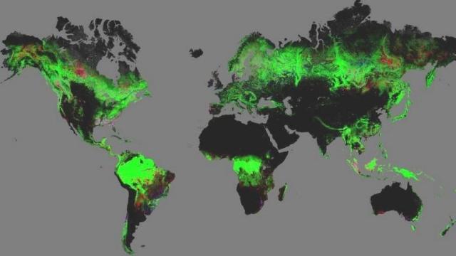 Διαδραστικός χάρτης δείχνει την εξαφάνιση των δασών