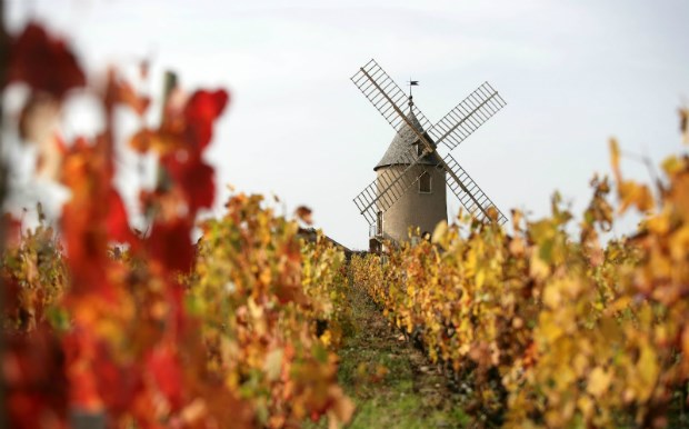 Οινικές απολαύσεις στους αμπελώνες του Beaujolais