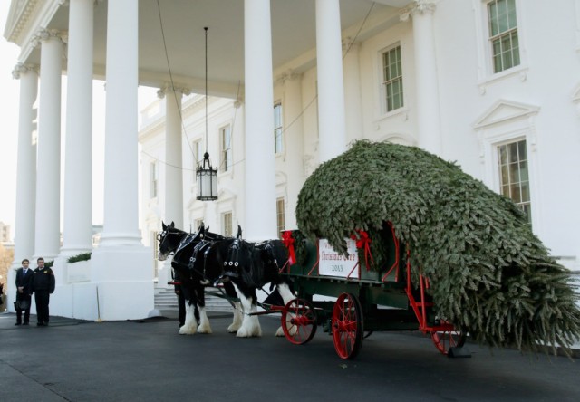 Με άμαξα έφτασε το χριστουγεννιάτικο δέντρο στο Λευκό Οίκο