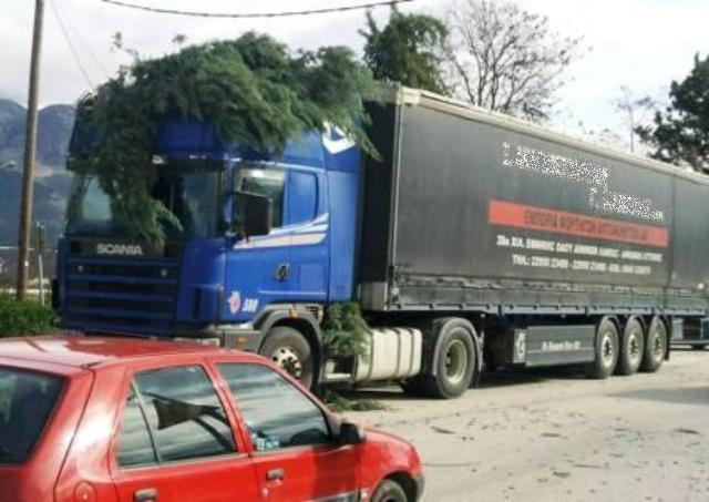 Σπασμένο δέντρο έπεσε πάνω σε φορτηγό