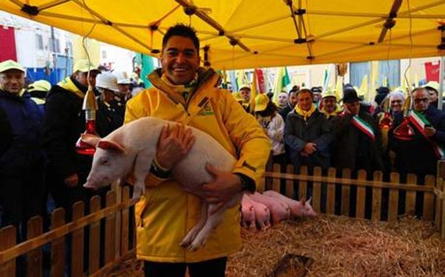 Δεκάδες&#8230; γουρούνια βρέθηκαν σήμερα στο ιταλικό κοινοβούλιο!
