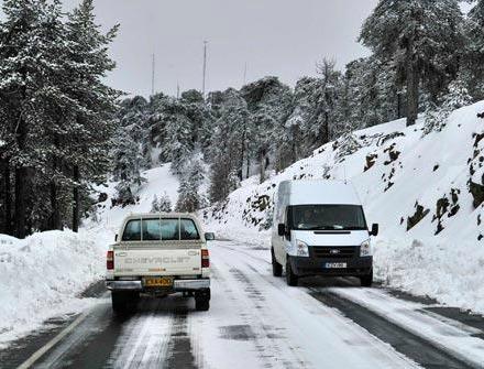 Ζημιές ύψους 194 εκατ.προκάλεσε στα δάση της Σλοβενίας η παγοθύελλα