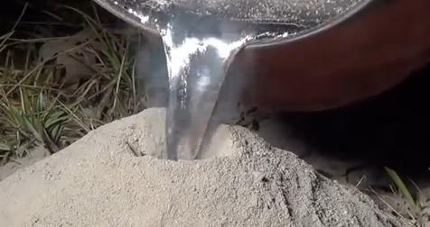 Οι λαβύρινθοι μέσα σε μια μυρμηγκοφωλιά