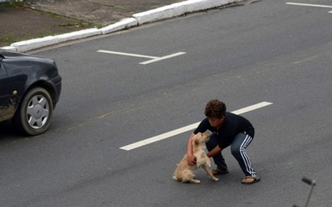 Εντεκάχρονος μπήκε στο δρόμο για να σώσει χτυπημένο σκυλάκι