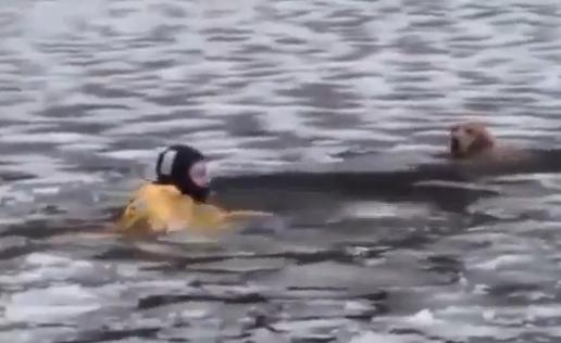 Διέσωσαν σκύλο που είχε παγιδευτεί σε παγωμένο ποτάμι