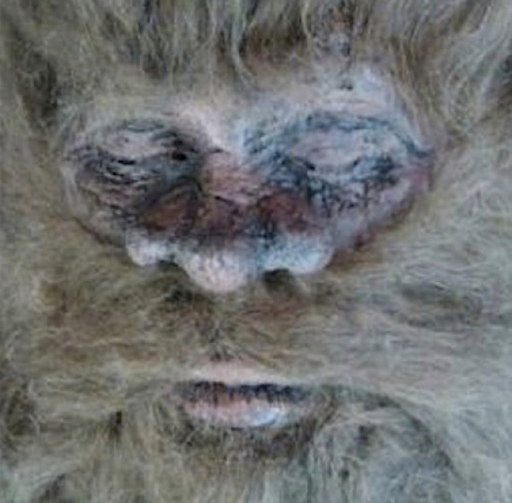 Κυνηγός ισχυρίζεται ότι έπιασε το θρυλικό Bigfoot