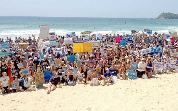 Χιλιάδες διαδηλωτές κατά της θανάτωσης των καρχαριών
