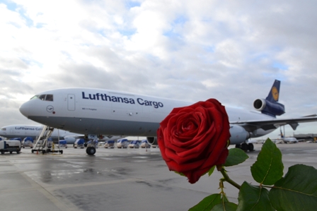Εκατομμύρια τριαντάφυλλα θα «πετάξουν» στην Ευρώπη