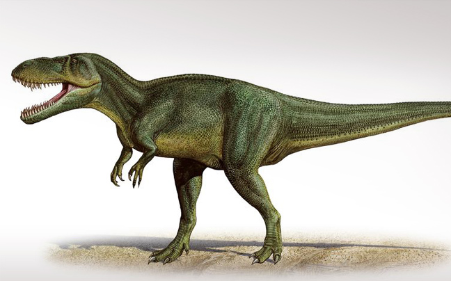 Ανακαλύφθηκαν στην Πορτογαλία απολιθώματα του μεγαλύτερου σαρκοφάγου δεινόσαυρου