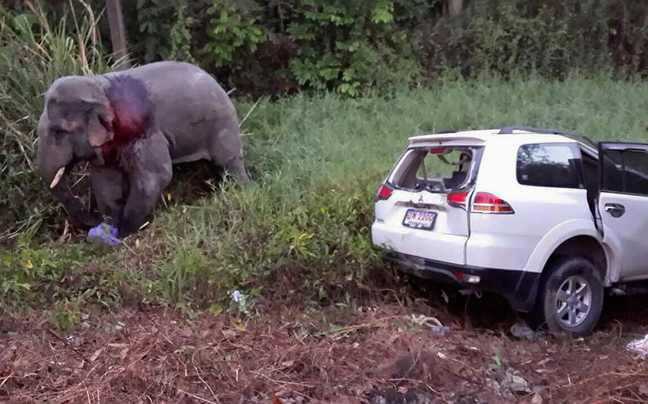 Εξι νεκροί από σύγκρουση αυτοκινήτου με ελέφαντα στην Ταϊλάνδη