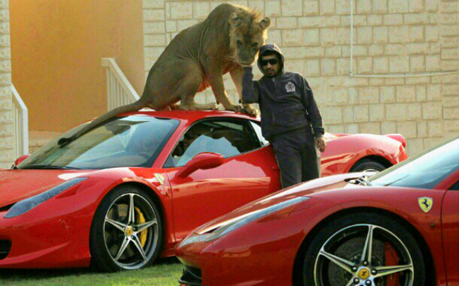 Supercars και… μεγάλες γάτες