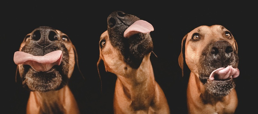 Σε απόσταση ανάσας