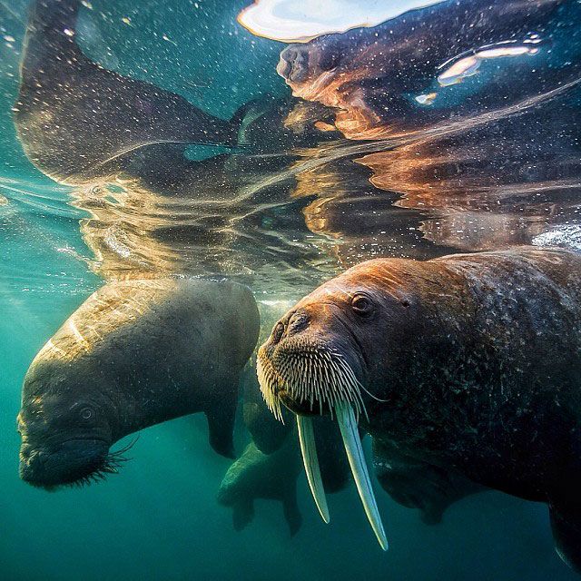 Το National Geographic στο Instagram