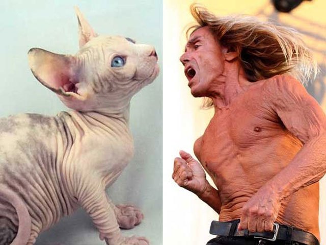 Όταν το alter ego είναι ζώο…