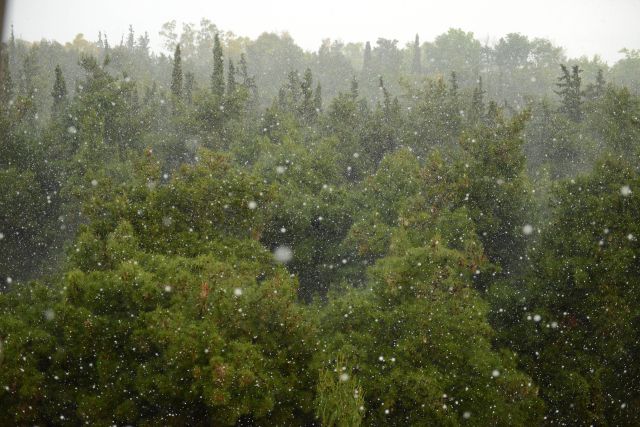 Αποζημιώσεις στους πληγέντες αγρότες από τον ΕΛΓΑ