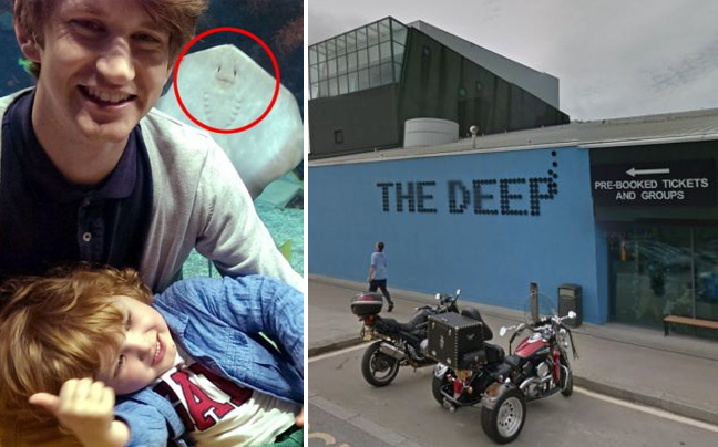 Photobombing από ένα… σαλάχι