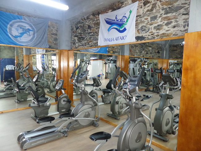 Κλειστό γυμναστήριο από την Ομάδα Αιγαίου και την Pfizer Hellas