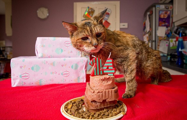 Η γηραιότερη γάτα του κόσμου