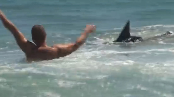 Η επίθεση του καρχαρία