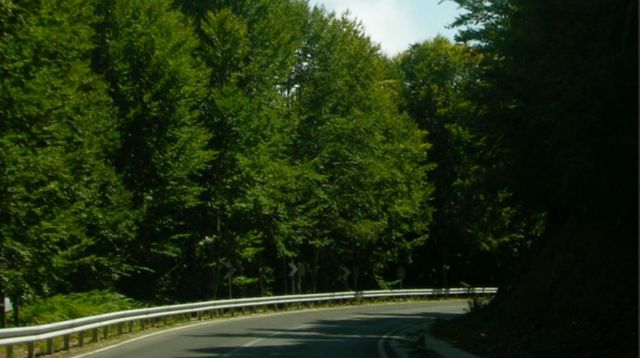 Αυτοκίνητο έπεσε στον γκρεμό