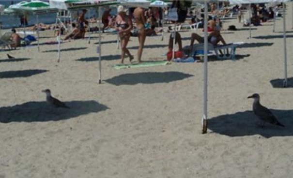 Όταν σφίγγουν οι ζέστες