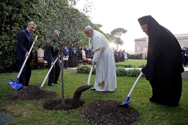 Φύτεψαν ελιά στο Βατικανό για την ειρήνη στη Μέση Ανατολή