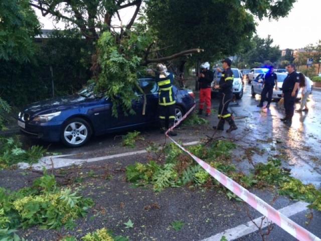 Δέντρο καταπλάκωσε σταθμευμένο αυτοκίνητο στο κέντρο της Θεσσαλονίκης
