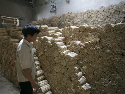Δεκαέξι πράγματα που ίσως να μη γνωρίζετε για την Κίνα