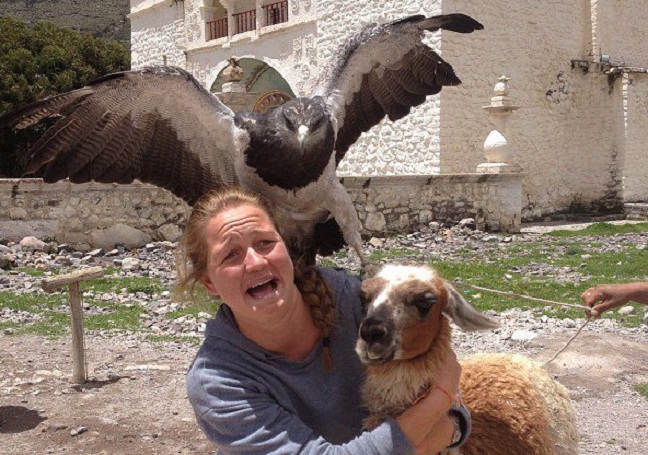 Η καλή μέρα από το πρωί φαίνεται&#8230;