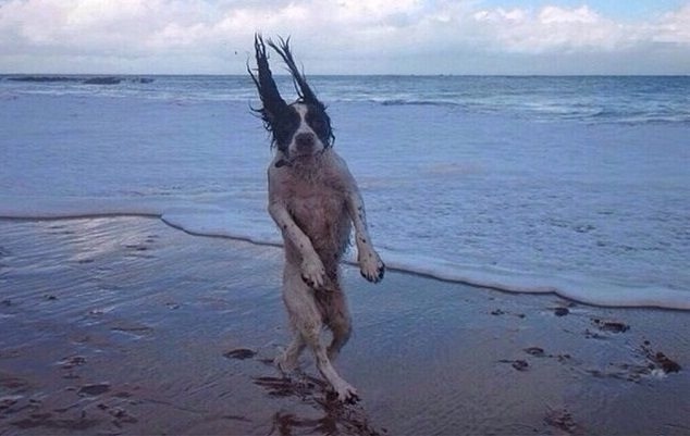 Το μυστικό είναι στο timing