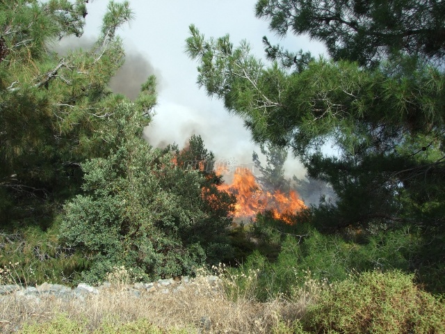 Απειλητική πυρκαγιά στην περιοχή του Καρά Τεπέ της Μυτιλήνης