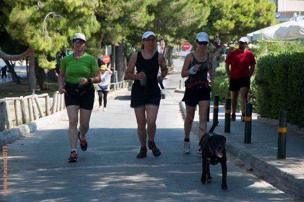 Πρώην αδέσποτα σκυλιά θα τρέξουν στο Penny Marathon