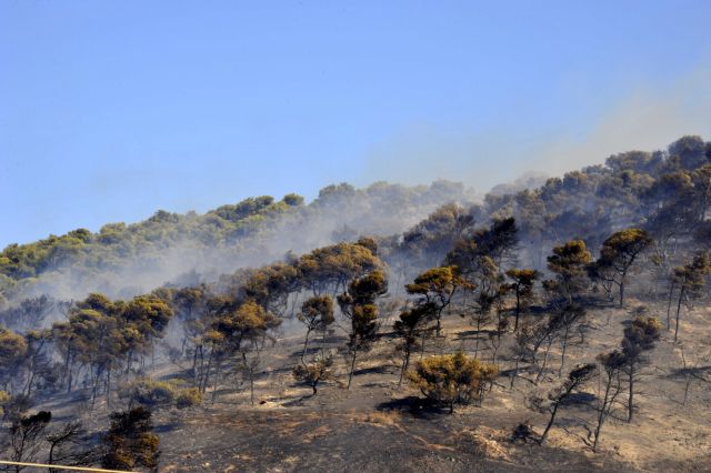 Σε ύφεση η πυρκαγιά στην Κερατέα