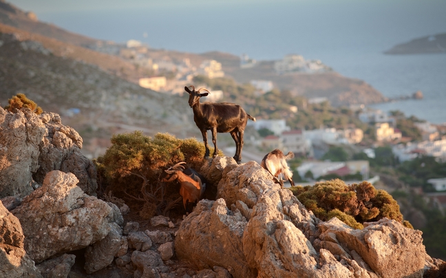 Τα 99 μυστικά της Ελλάδας