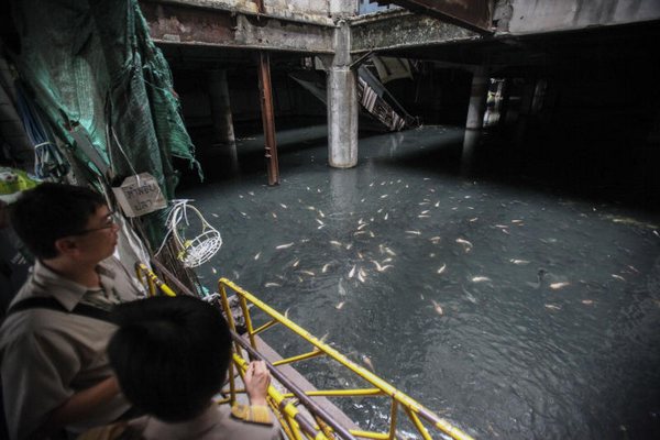 Εγκαταλελειμμένο εμπορικό κέντρο μετατρέπεται σε λίμνη με ψάρια
