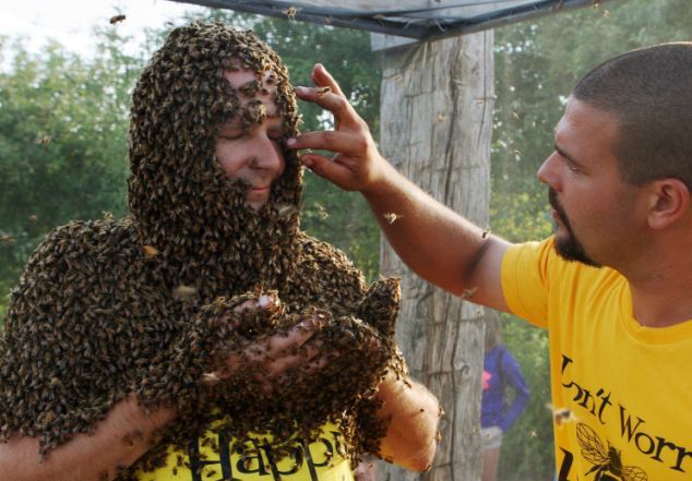 Γένια από&#8230; μέλισσες