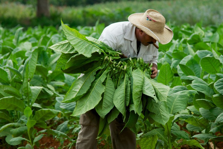 Έρευνες για διαφθορά στην British American Tobacco