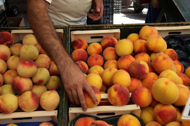 Ταξίδι για τις χώρες της Αραβικής Χερσονήσου ξεκινά το… ροδάκινο