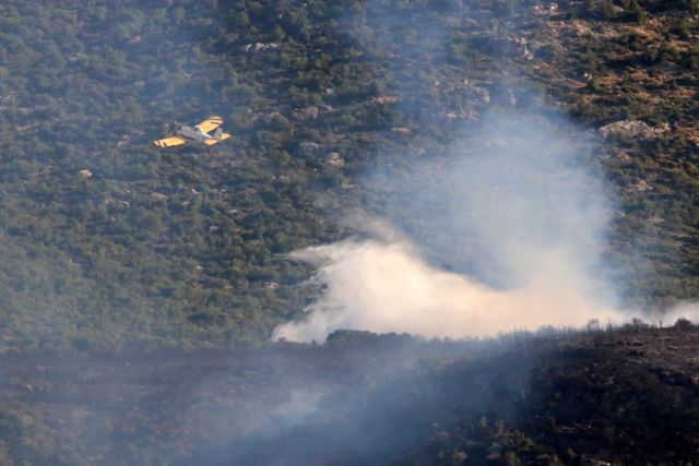 Πυρκαγιά σε ελατοδάσος στη Φθιώτιδα